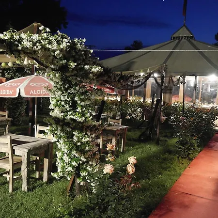 My Dream & Restaurant